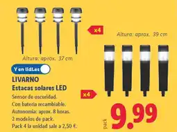 Lidl LIVARNO Estacas solares LED oferta