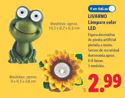 Lidl LIVARNO Lámpara solar LED oferta