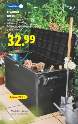 Lidl LIVARNO Arcón oferta