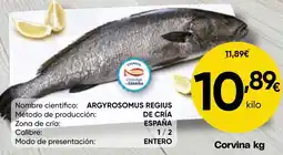 FROIZ Corvina oferta