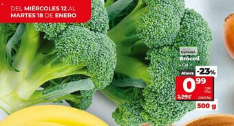 Dia Brócoli oferta