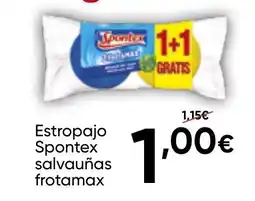 FROIZ SPONTEX Estropajo salvauñas frotamax oferta