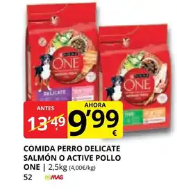 Supermercados MAS ONE Comida perro delicate salmón o active pollo oferta