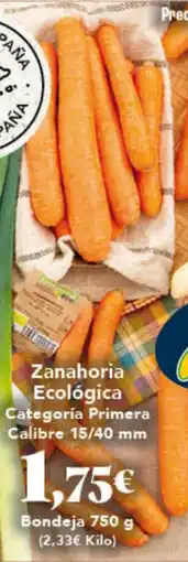 Gadis Zanahoria Ecológica oferta