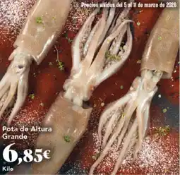 Gadis Pota de Altura Grande oferta