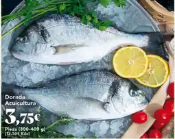 Gadis Dorada Acuicultura oferta