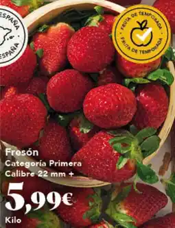 Gadis Fresón oferta