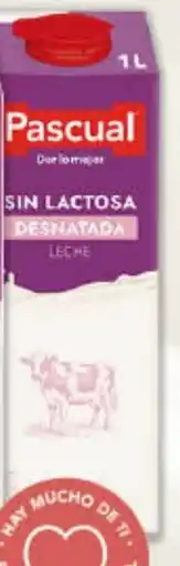 Gadis PASCUAL Leche sin Lactosa Desnatada oferta