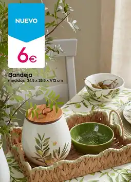 Pepco Bandeja oferta