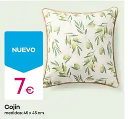 Pepco Cojín oferta