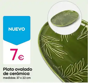 Plato ovalado de cerámica