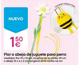 Pepco Flor o abeja de juguete para perro oferta