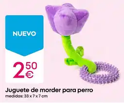Pepco Juguete de morder para perro oferta