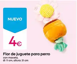 Pepco Flor de juguete para perro oferta