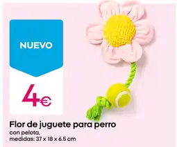 Pepco Flor de juguete para perro oferta