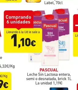Hiperber PASCUAL Leche Sin Lactosa entera, semi o desnatada oferta