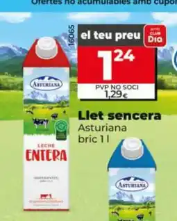 Dia ASTURIANA Llet sencera oferta