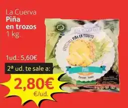 GM Cash & Carry La cuerva - pina en trozos oferta