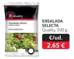 GM Cash & Carry Quality - ensalada selecta oferta
