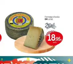 Condis DM Formatge d'ovella oferta