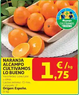 Alcampo Naranja alcampo cultivamos lo bueno oferta
