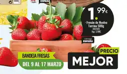 Family Cash Fresón de Huelva Tarrina oferta