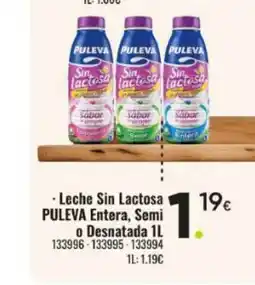 Family Cash PULEVA Leche Sin Lactosa Semi o Desnatada oferta