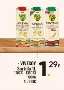 Family Cash VIVESOY Surtida oferta