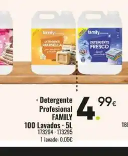 Family Cash FAMILY Detergente Profesional 100 Lavados oferta