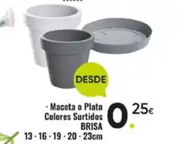 Family Cash BRISA Maceta o Plato Colores Surtidos oferta