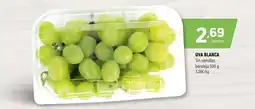 Coviran Uva blanca sin semillas bandej oferta