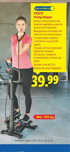 Lidl CRIVIT Swing Stepper oferta