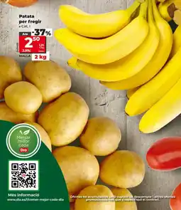 Dia Patata per fregir oferta