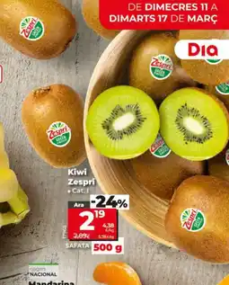 Dia Kiwi Zespri oferta