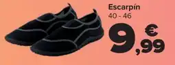 Carrefour Escarpín 40-46 oferta