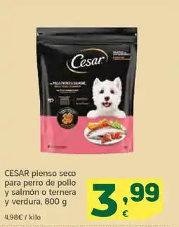 HiperDino CESAR pienso seco para perro de pollo y salmón o ternera y verdura oferta