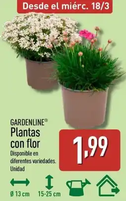 ALDI GARDENLINE Plantas con flor oferta