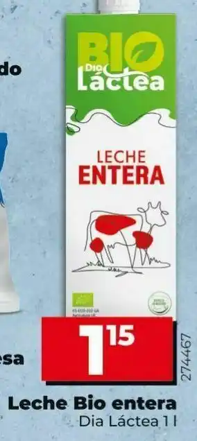 Dia Leche entera dia oferta