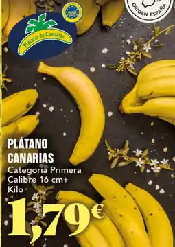 Gadis Platano canarias oferta