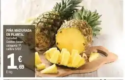 E.Leclerc Piña madurada en planta oferta