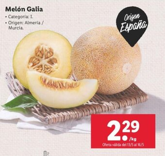 Lidl Melón Galia oferta