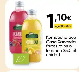 Cash FROIZ Kombucha eco Casa Xanceda frutos rojos o lemmon oferta