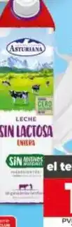 Dia Asturiana - leche sin lactosa entera oferta