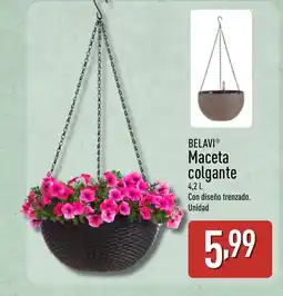 ALDI BELAVI Maceta colgante oferta