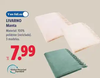 Lidl LIVARNO Manta oferta