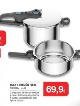 Milar TEFAL Olla a presión oferta