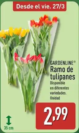 ALDI GARDENLINE Ramo de tulipanes oferta