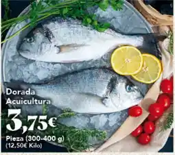 Gadis Dorada Acuicultura oferta