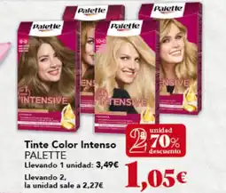 Gadis PALETTE Tinte Color Intenso oferta