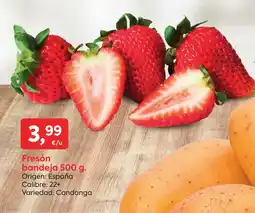 Suma Supermercados Fresón bandeja oferta